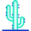 Cactus icon 64x64