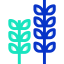 Wheat icon 64x64
