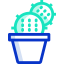 Cactus icon 64x64