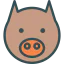Pig ícone 64x64
