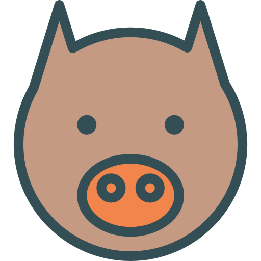 Pig 상