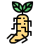 Ginseng icon 64x64