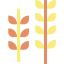Wheat icon 64x64