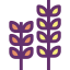 Wheat icon 64x64