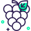 Grapes 상 64x64