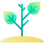 Sprout icon 64x64