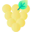 Grapes icon 64x64