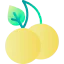 Cherries icon 64x64