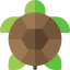 Turtle icon 64x64