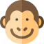 Monkey icon 64x64