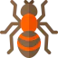 Ant icon 64x64
