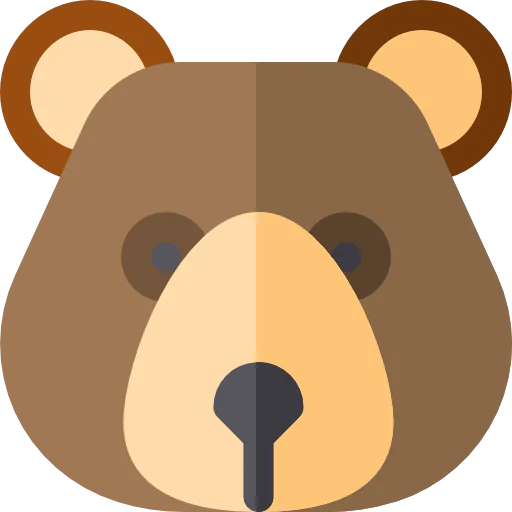 Bear icon