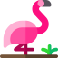 Flamingo icon 64x64