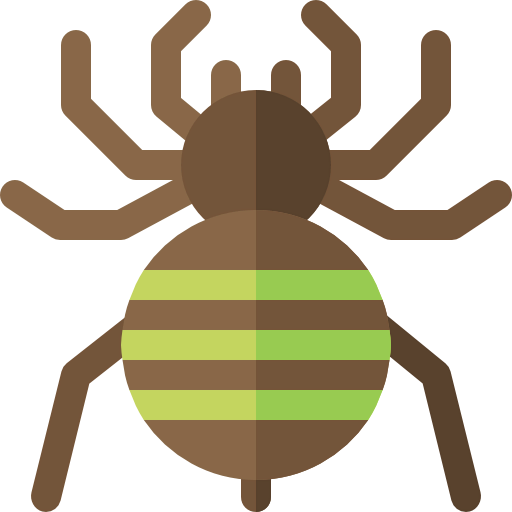 Spider icon