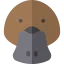 Platypus icon 64x64