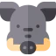 Boar icon 64x64