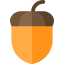 Acorn 图标 64x64