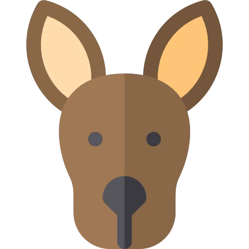 Kangaroo icon