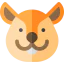 Squirrel 图标 64x64