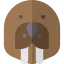 Walrus 图标 64x64