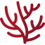 Coral іконка 64x64