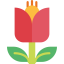 Flower アイコン 64x64