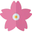 Cherry blossom アイコン 64x64