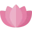 Lotus アイコン 64x64