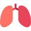 Lungs 상 64x64