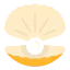 Oyster ícone 64x64