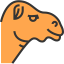 Camel icon 64x64
