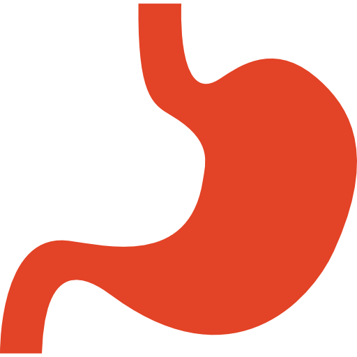 Stomach icône