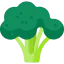 Broccoli icon 64x64