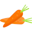 Carrots icône 64x64