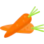 Carrots icon 64x64