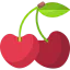 Cherries icône 64x64