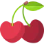 Cherries icon 64x64