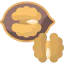 Walnut icon 64x64