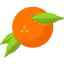 Orange icône 64x64