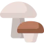 Mushrooms icon 64x64
