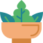 Salad icon 64x64