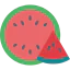 Watermelon icon 64x64