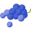 Grapes icon 64x64