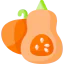 Pumpkin icon 64x64
