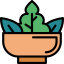 Salad icon 64x64