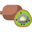 Kiwi icon 64x64