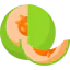Melon icon 64x64