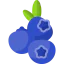 Blueberries icon 64x64