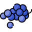 Grapes icon 64x64