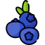 Blueberries ícono 64x64